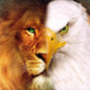 Meet your Posher, Basheer